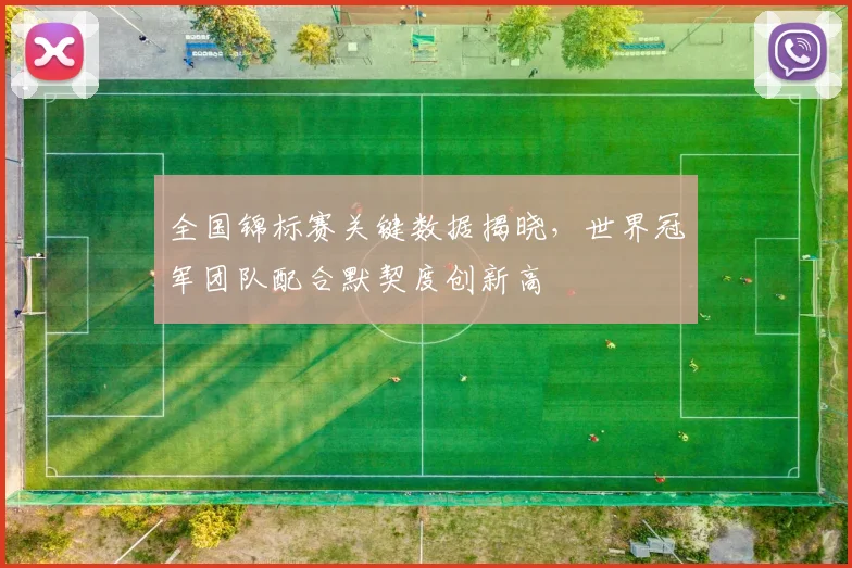 全国锦标赛关键数据揭晓，世界冠军团队配合默契度创新高