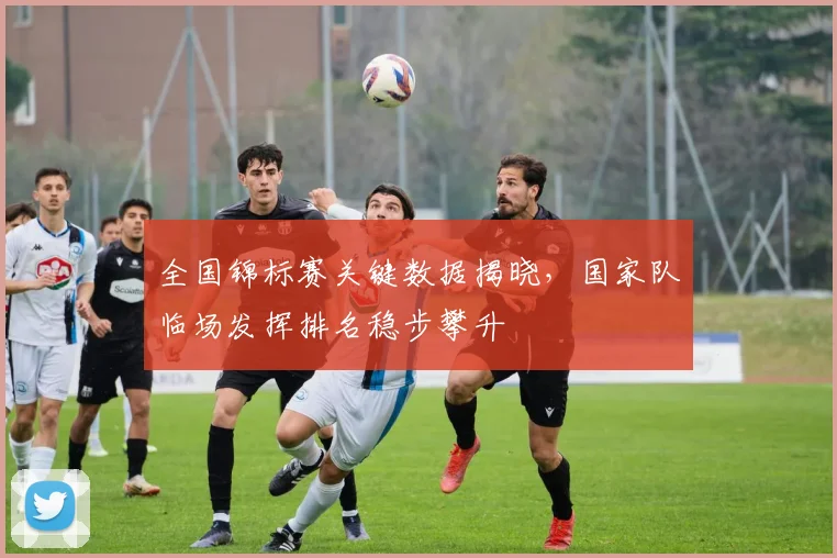 全国锦标赛关键数据揭晓,国家队临场发挥排名稳步攀升